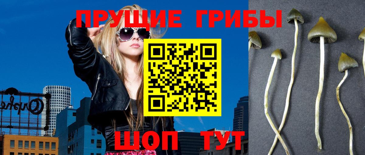 где можно купить   Псилоцибиновые грибы ЛСД  Вход с VPN  Феодосия 